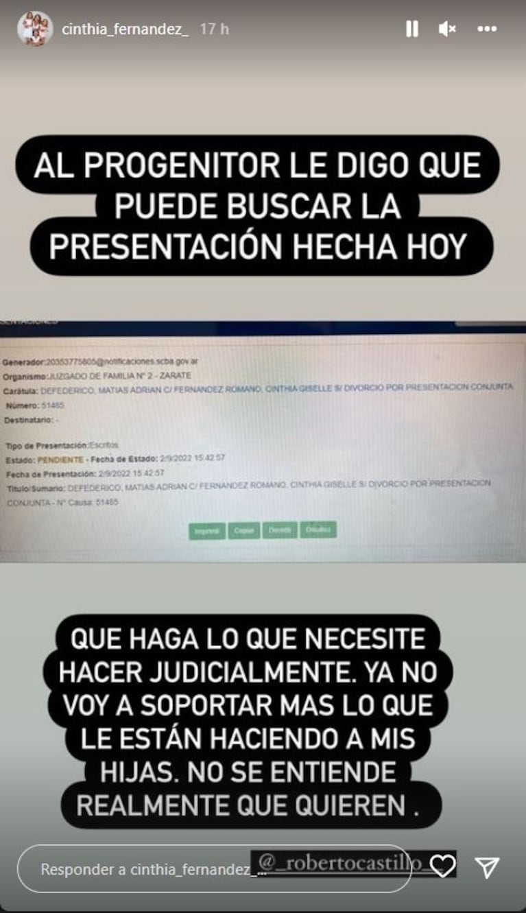 Furiosa respuesta de Cinthia Fernández luego de que Defederico la denunciara por no poder ver a sus hijas: "Ojalá, algún día dejes de dañar"