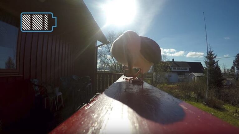 Gaviota robó una GoPro y registró imágenes espectaculares