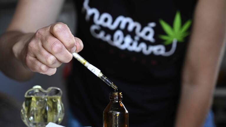 General La Madrid, el primer municipio del país autorizado a cultivar cannabis medicinal