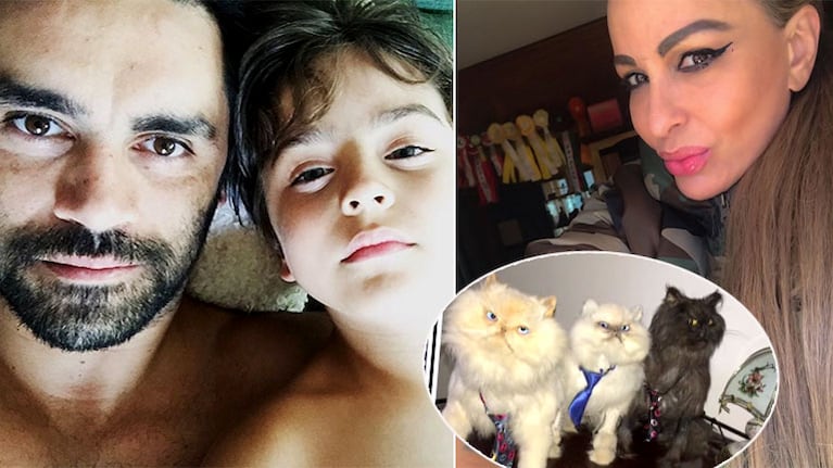 Gonzalo Heredia reveló qué hace su hijo Eloy con los tres gatos embalsamados de Daniela Cardone