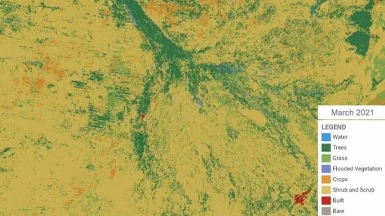 Google lanza Dynamic World, un mapa mundial que monitoriza los cambios del ecosistema terrestre en tiempo real