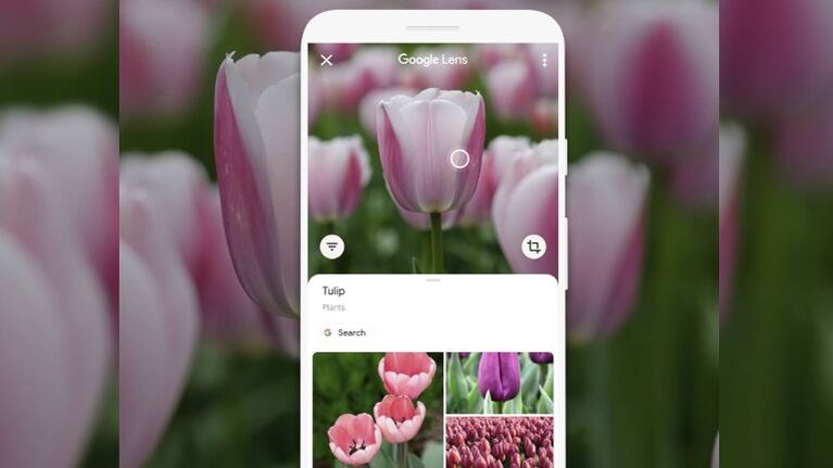 Google Lens realiza traducciones offline en Android Google ha distribuido el soporte para que su aplicación de reconocimiento. Foto: DPA.