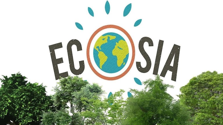 Gracias a esta iniciativa y a sus casi 20 millones de usuarios activos, la compañía ha logrado plantar más de 205 millones de árboles y ha invertido más de 84 millones de euros en acciones para combatir el cambio climático.