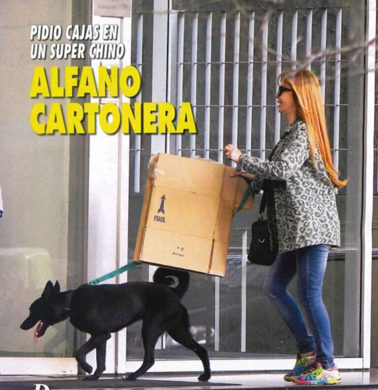 Graciela Alfano, la famosa que salió a "cartonear" por las calles de Palermo Hollywood