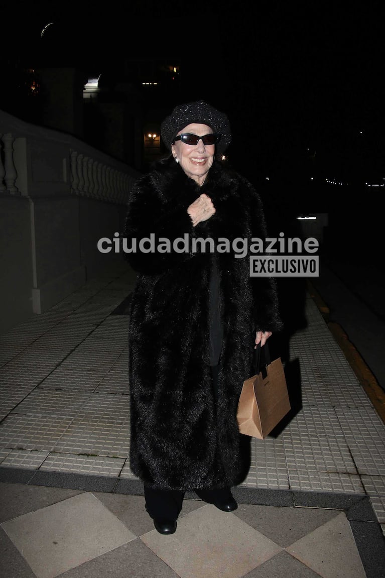 Graciela Borges (Foto: Movilpress)