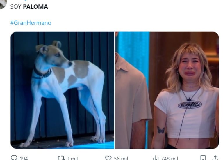 Gran Hermano 2023: la reacción de Paloma Méndez ante el ingreso de Arturo a la casa se convirtió en meme