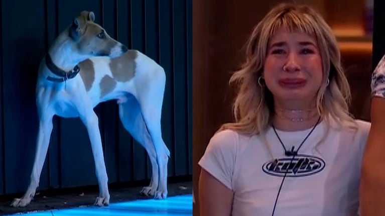 Gran Hermano 2023: la reacción de Paloma Méndez ante el ingreso de Arturo a la casa se convirtió en meme