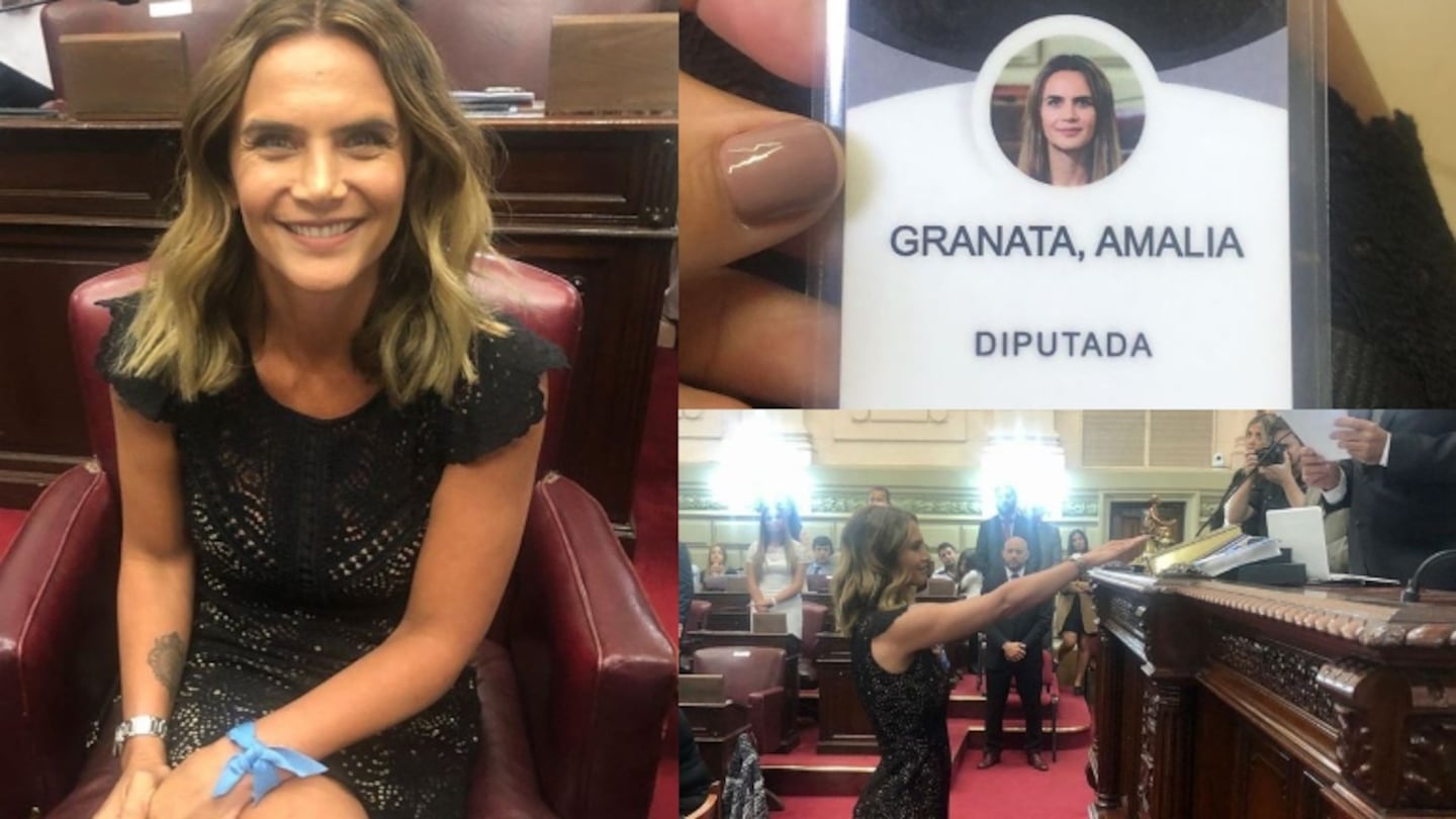 Granata juró como diputada provincial y lo compartió en sus redes.