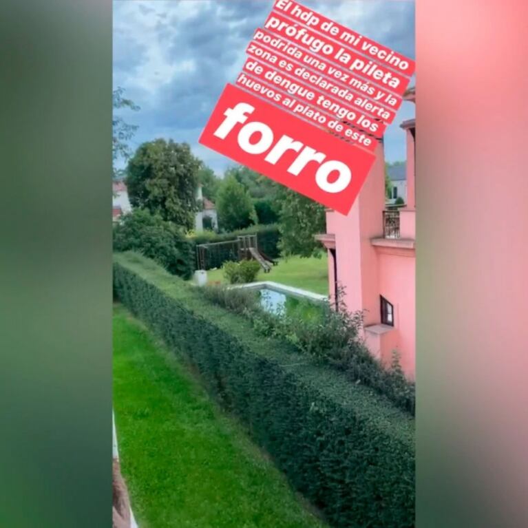 Grave acusación de Cinthia Fernández en LAM: "Tengo un vecino narco con la pileta podrida y peligro de dengue"