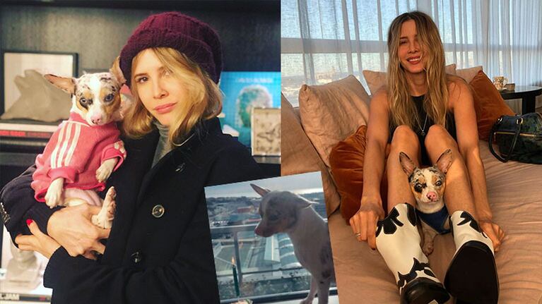 Guillermina le festejó el cumpleaños a su perrita Venus.