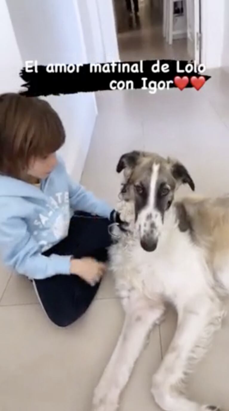 Guillermina Valdés y Marcelo Tinelli celebraron el amor de Lolo por los animales: "Lo mejor para tus hijos"