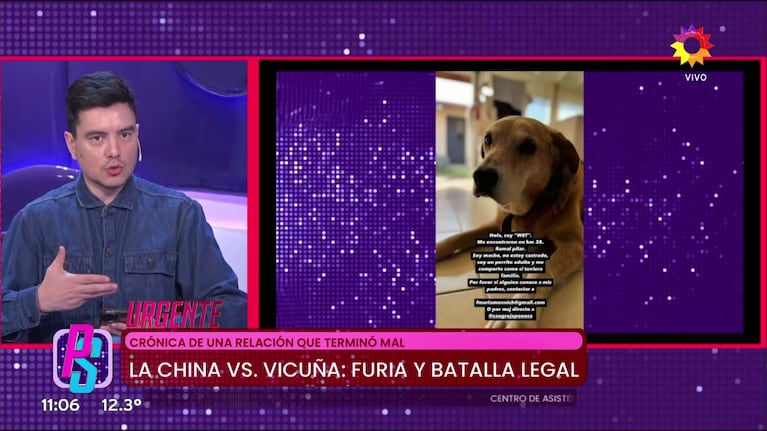 Gustavo Méndez y Wet, el perro de la China Suárez.