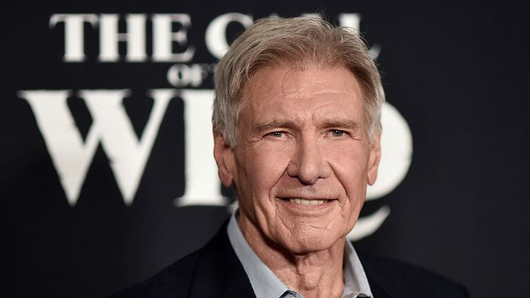 Harrison Ford, en problemas: es investigado por otro incidente con su avioneta