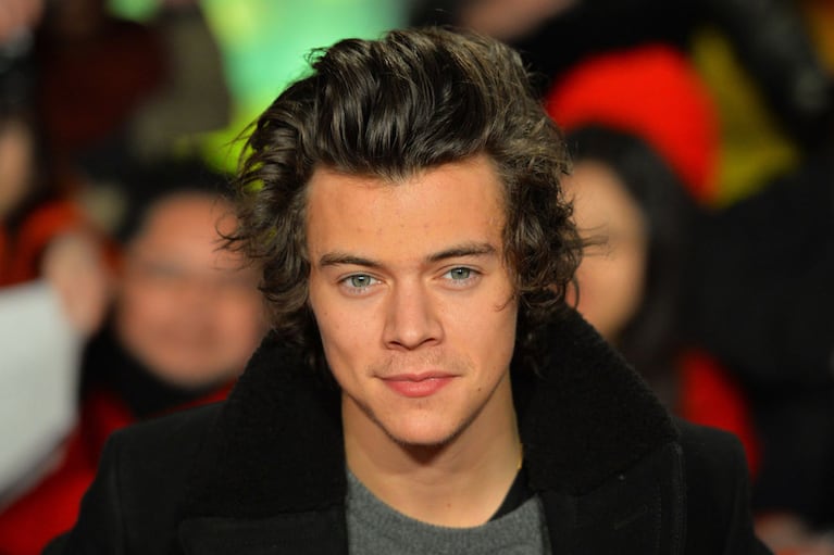 Harry Styles: espiá quiénes flecharon su corazón 