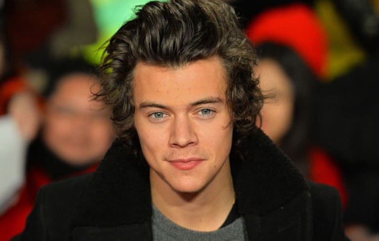 Harry Styles presta 8 mil dólares sin saber que es víctima de una broma. (Foto: web)