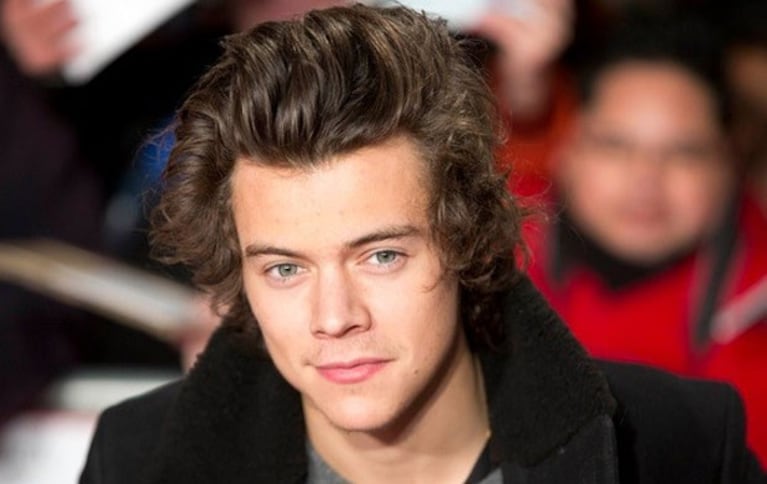 Harry Styles se separó de Kendall Jenner y… ¿quiere abandonar One Direction? (Foto: Web)