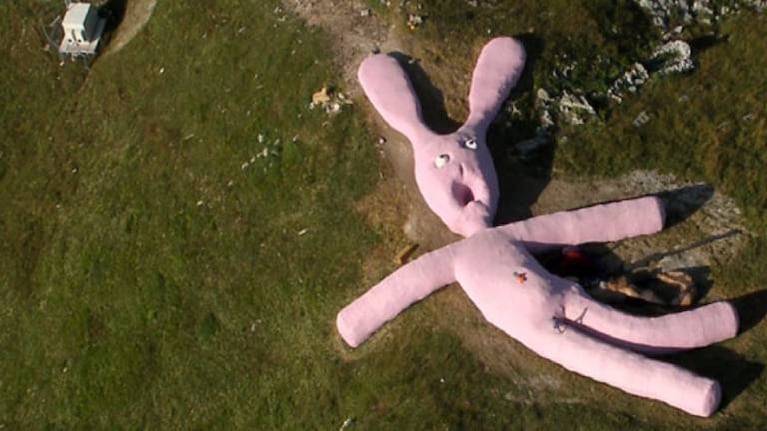 Hase, el enorme conejo rosa que envejece en un monte desde hace 15 años