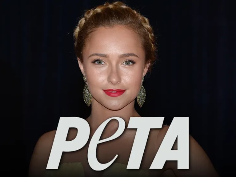 Hayden Panettiere protagonizó su última campaña para PETA semanas antes de morir.