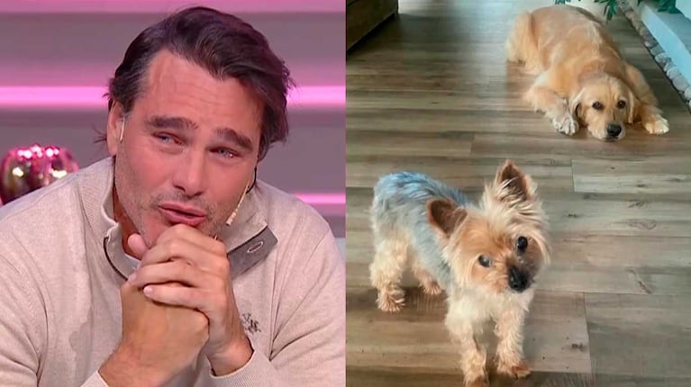 Hernán Drago recordó a sus perritos en Cortá por Lozano (Fotos: capturas Telefe)