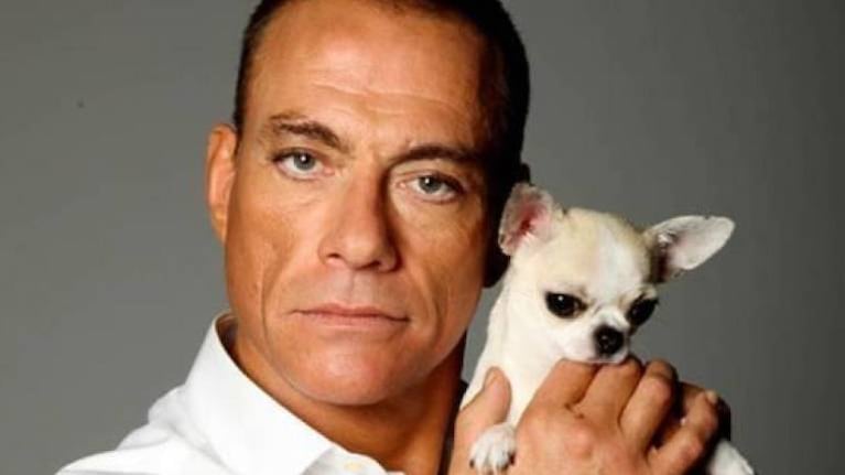 Héroe real: Van Damme salva a perrita chihuahua condenada a muerte