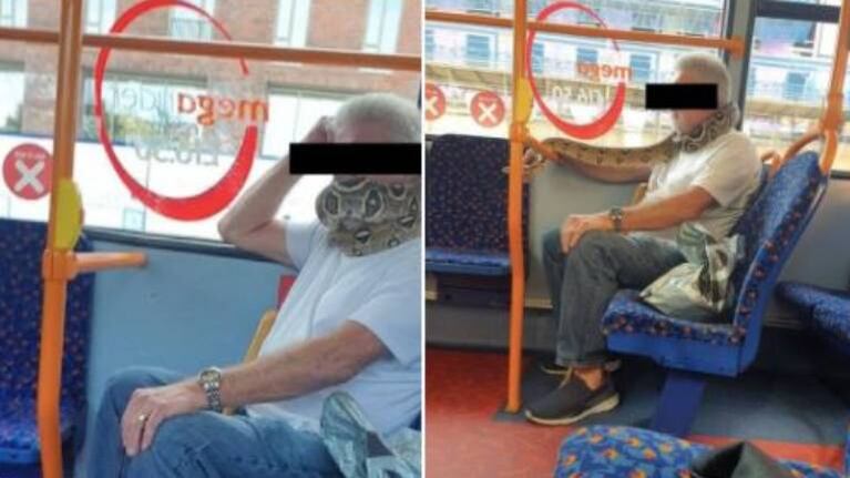 Hombre lleva una serpiente al cuello en vez de barbijo al viajar en autobús
