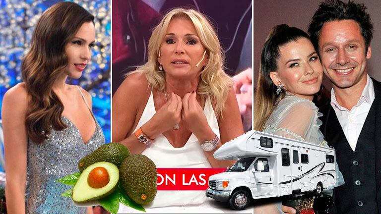 Yanina Latorre, furiosa con Pampita: "Peor es colgarte de una palta y un motorhome para ir al Bailando"