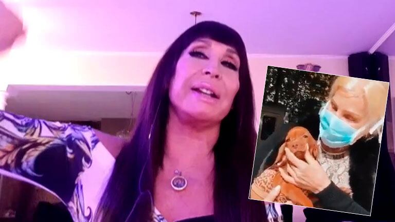 La broma de Moria Casán luego de que Susana Giménez devolviera a su perrita