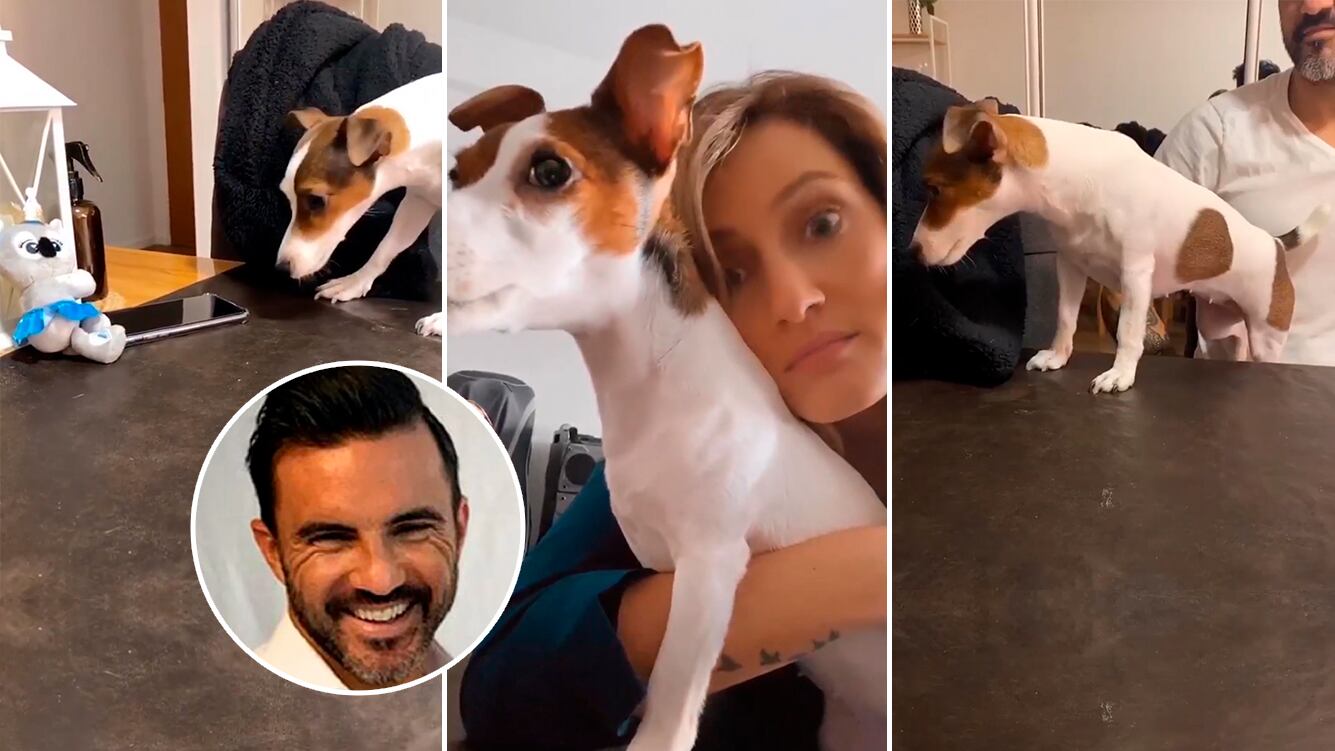 El dulce reclamo de Mica Viciconte a Cubero: "Ahora con Fabián la perra esta en Disney"