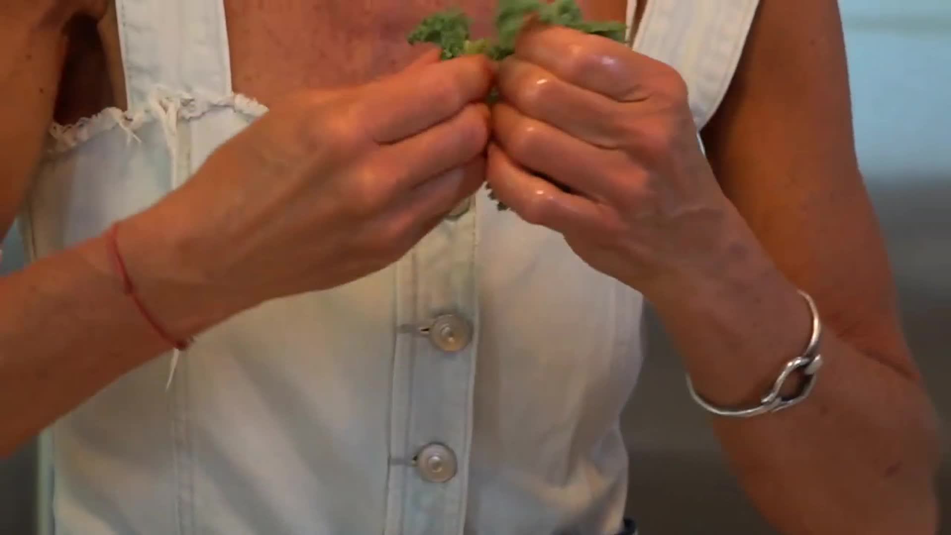 Cómo hacer el Vitel Tone - Maru Botana