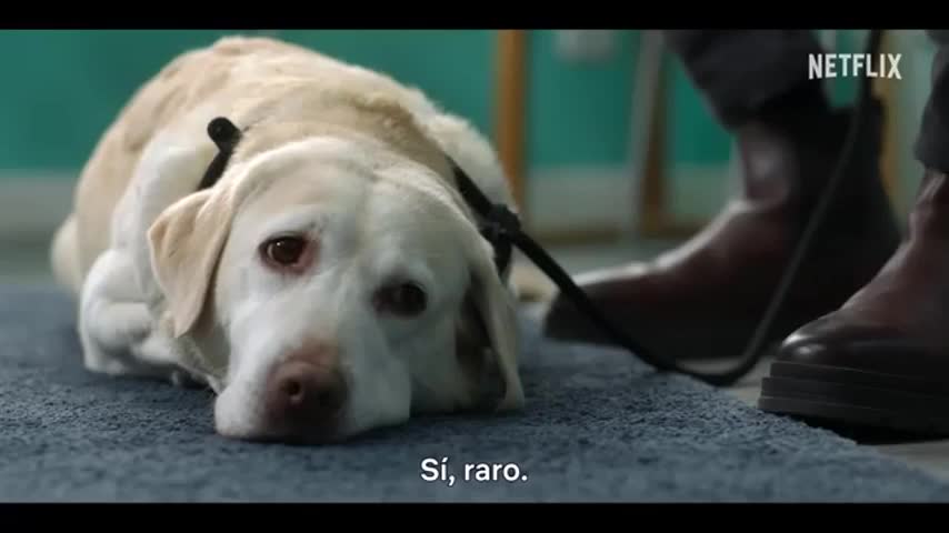 Animal - Tráiler Oficial - Netflix