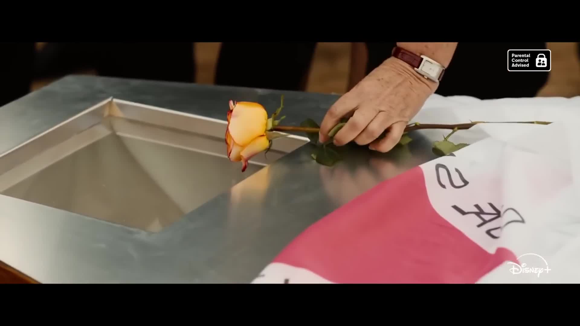 Suspect, The Shooting of Jean Charles de Menezes - Official Trailer - Disney+