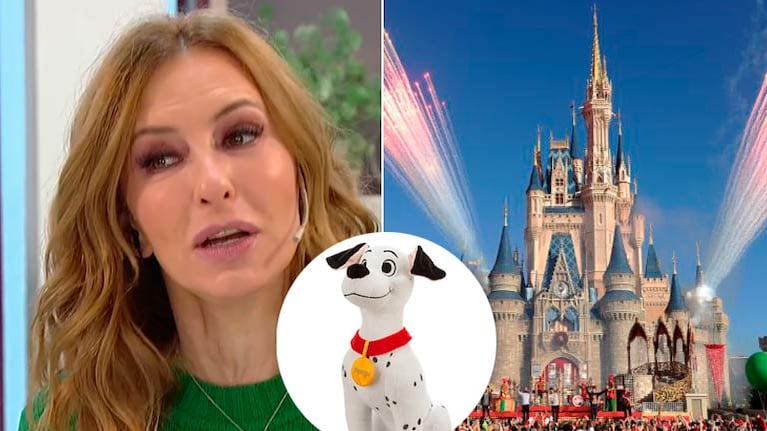 Analía Franchín recordó su mala experiencia en Disney