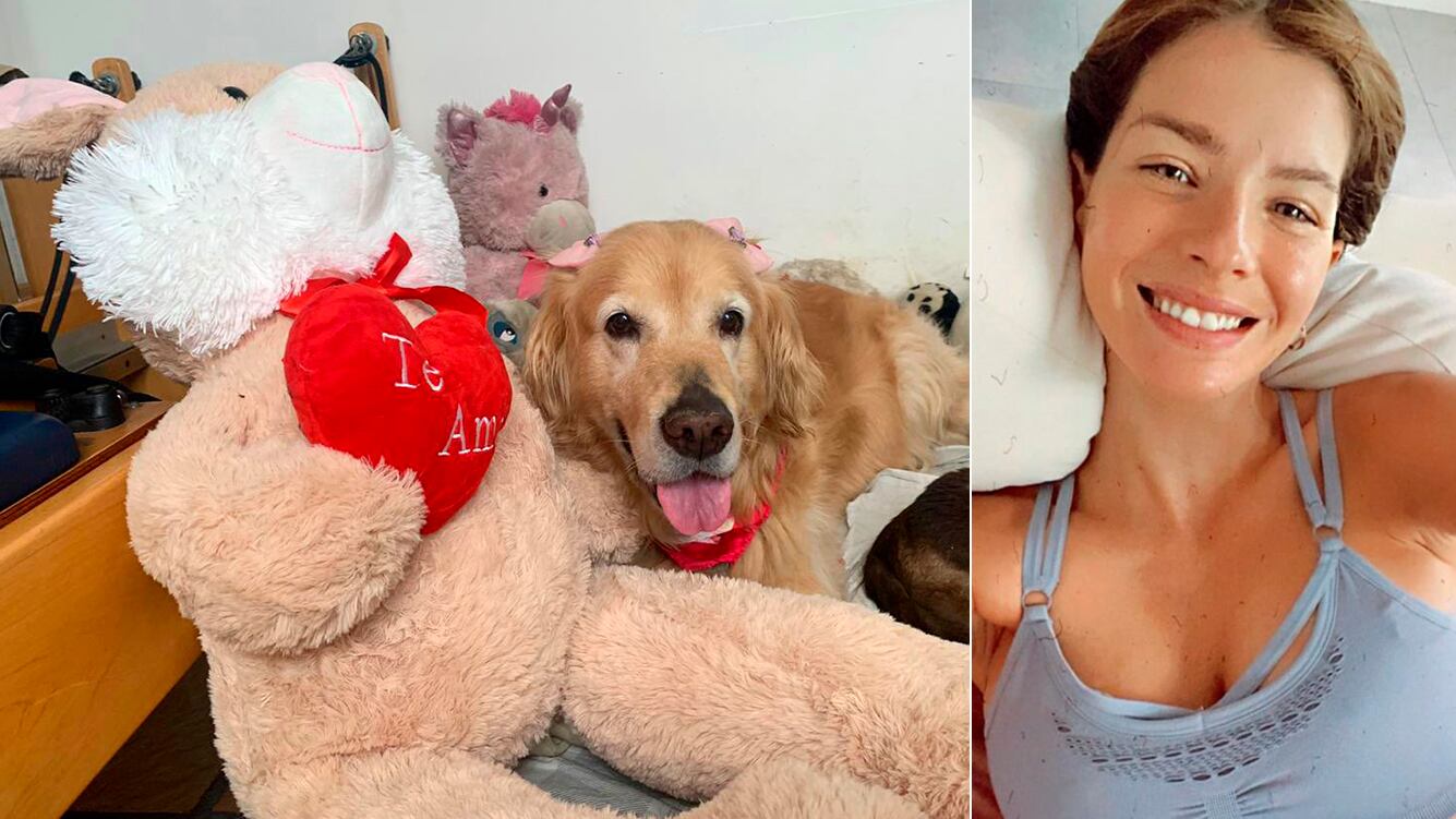 El tierno gesto de China Suárez con una perra que fue maltratada en la calle