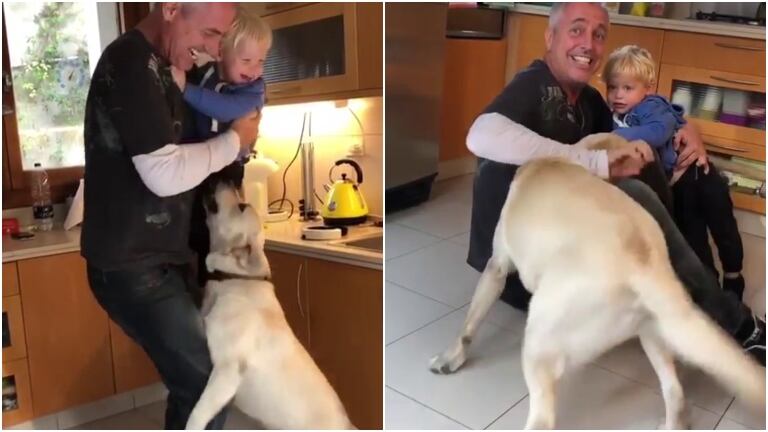 Marley y Mirko volvieron de sus viajes de Por el mundo... ¡y así los reaccionó su perro al verlos!