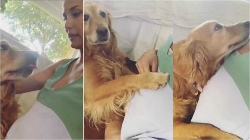 El tierno video del perro de Luli Fernández acariciando su pancita de 8 meses