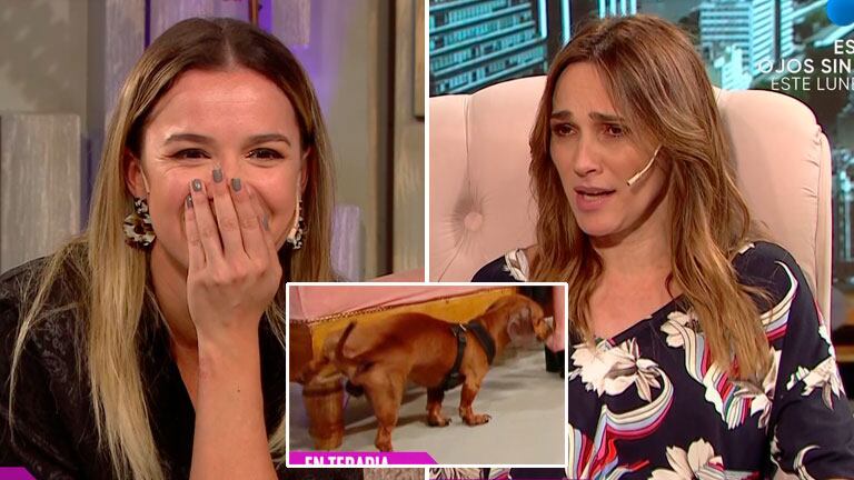 El perro de Sofía Pachano hizo caca en vivo en Cortá por Lozano