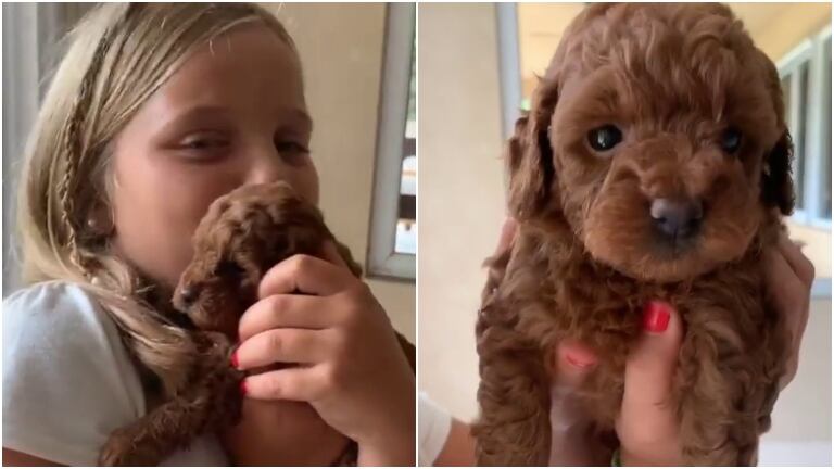Maru Botana mostró la tierna imagen de su hija menor con uno de los cachorritos que tuvo su perra