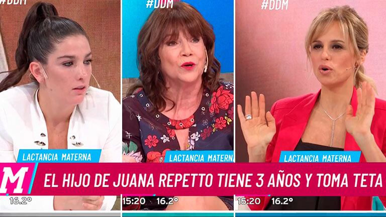 Mariana Fabbiani y Juana Repetto se cruzaron con una psicóloga que criticó la lactancia prolongada