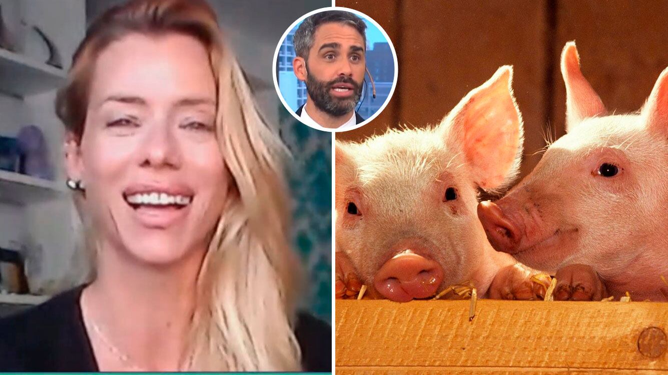¡Espíritu solidario! Nicole Neumann rescató tres cerditas en plena cuarentena 