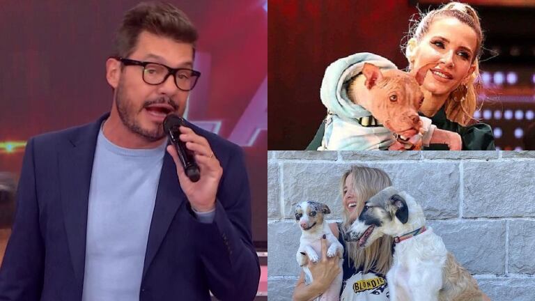 Tinelli se refirió a los perros especiales que tiene en su hogar: "Son todos adoptados"