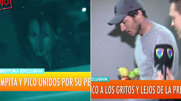 Pampita y Pico Mónaco, unidos por Osvaldo, el tierno perro del extenista, en medio de sus idas y vueltas