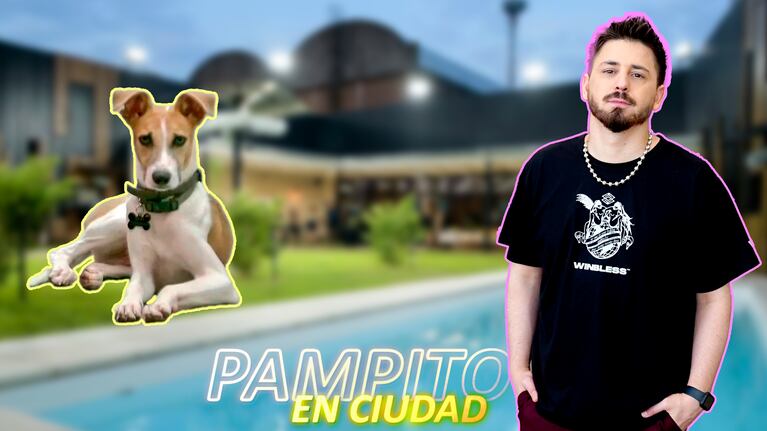 ¿Hay maltrato al perro Arturo en Gran Hermano?