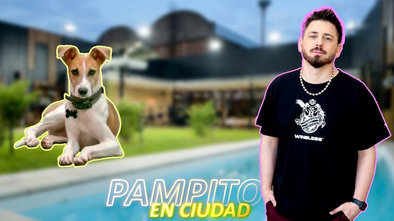 ¿Hay maltrato al perro Arturo en Gran Hermano?