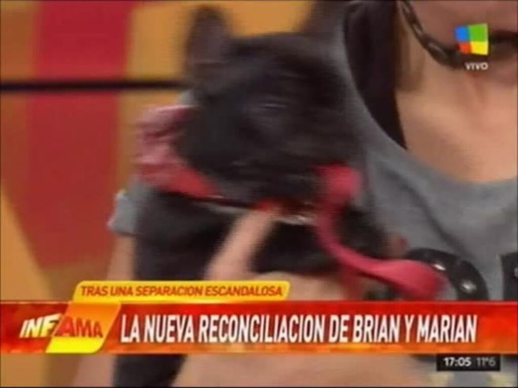 Brian Lanzelotta conto cómo se reconcilió y por qué volvió con Marian: "Lo que me enamora de ella es..."