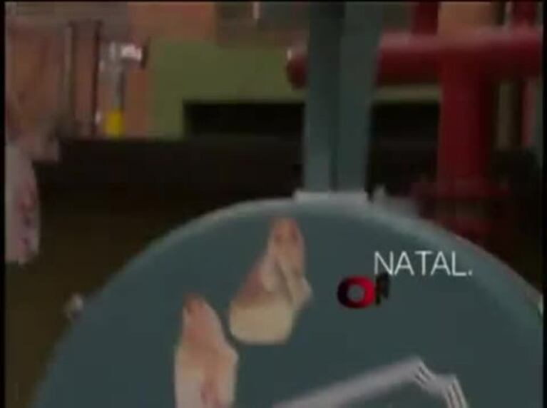 Video Placeholder
