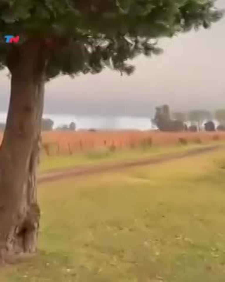 Video Placeholder