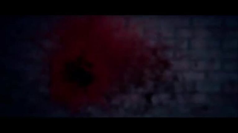 Video Placeholder