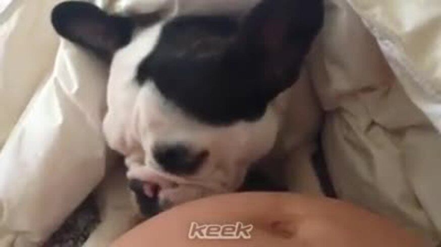 Paula Chaves, entre dos amores: ¡su panza y su mascota!