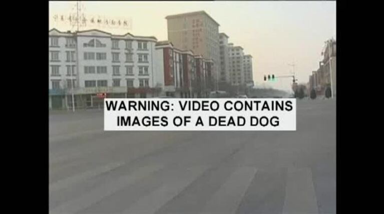 Video Placeholder