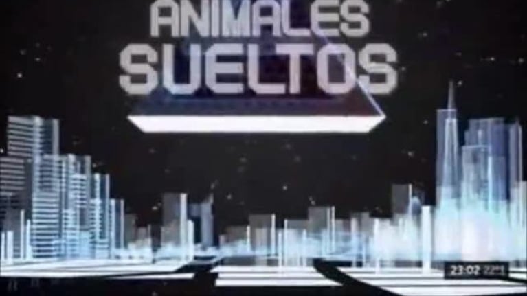 Feinmann y Guillermo Moreno casi se van a las manos antes de Animales Sueltos